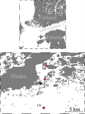 Combined effect of salinity and temperature on copepod reproduction and oxidative stress in brackish-water environment